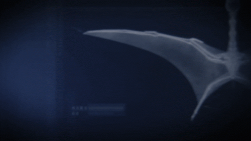 4.gif