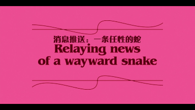Minx.S01E05.Relaying.news.of.a.wayward.snake.2160p.Stan.WEB-DL.DDP.5.1.H.265-CHDWEB_001_3563