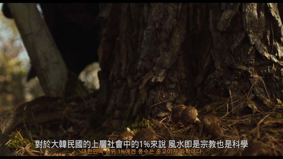 Exhuma.2024.1080p_001_15796.png